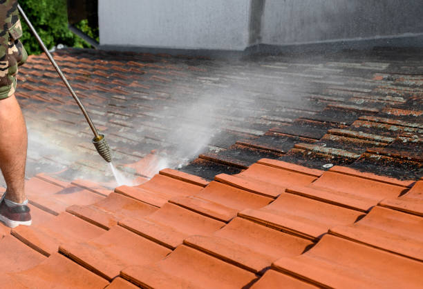 Best Sidewalk Pressure Washing  in Red Lake, AZ