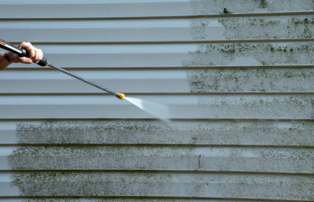 Best Deck Pressure Washing  in Red Lake, AZ