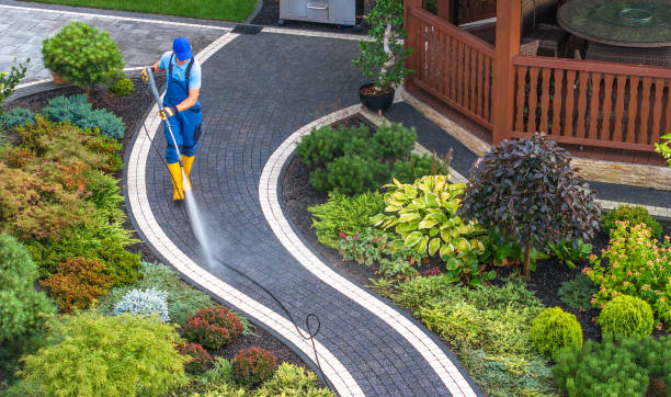 Best Deck Pressure Washing  in Red Lake, AZ
