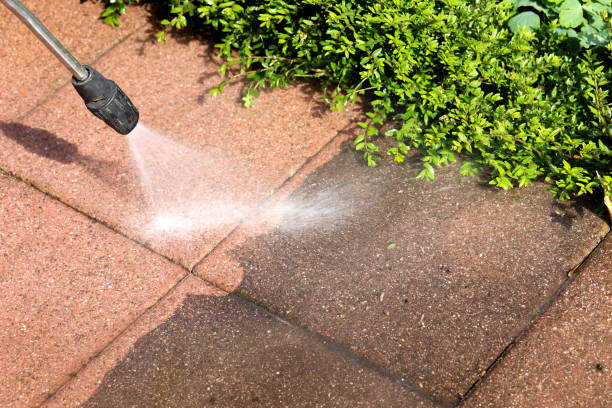 Best Commercial Pressure Washing  in Red Lake, AZ